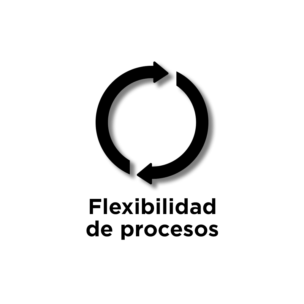 Flexibilidad de procesos